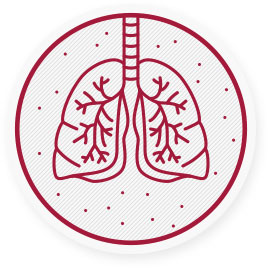 La polvere sottile riduce le aspettative di vita e può provocare molte malattie, soprattutto al sistema respiratorio --> le particelle inalate raggiungono i nostri bronchi per poi finire nel nostro circolo sanguigno.