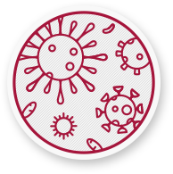 Baktériumok és vírusok